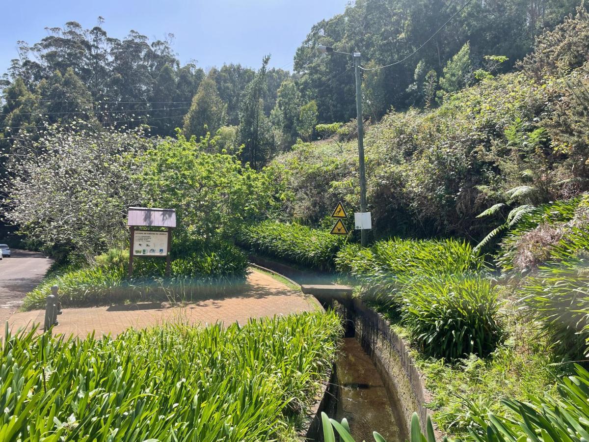 Apartament Casa Caroto Porto Moniz Zewnętrze zdjęcie